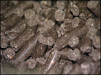 ���� ��� ������� �����������